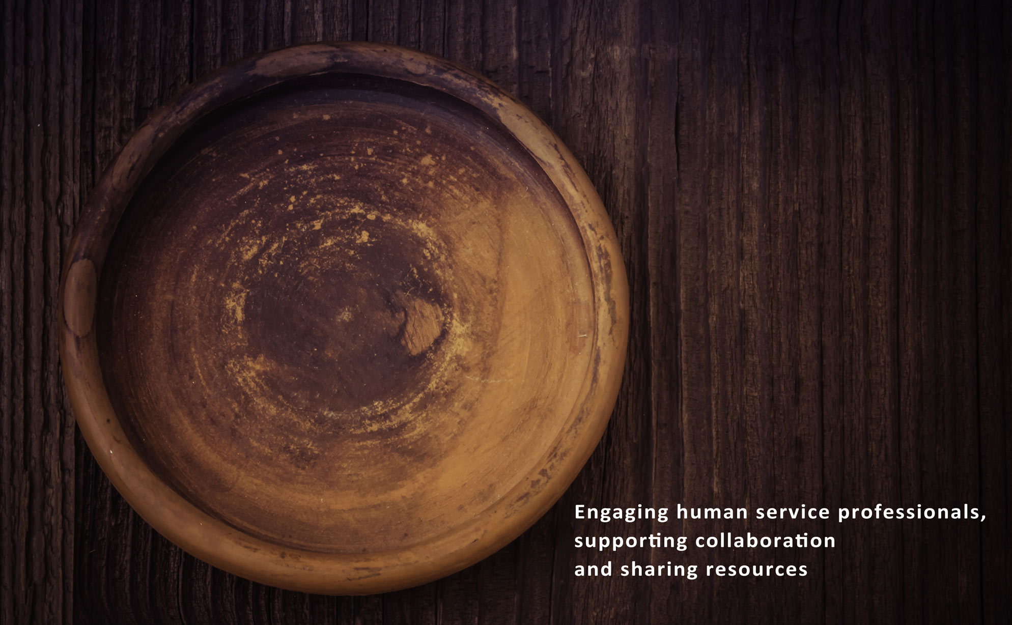 Engaging human service professionals, supporting collaboration and sharing resources